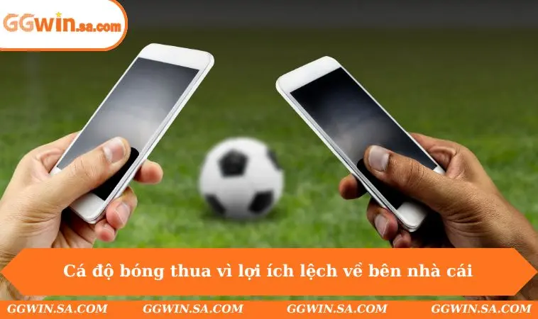 Cá độ bóng thua vì lợi ích lệch về bên nhà cái