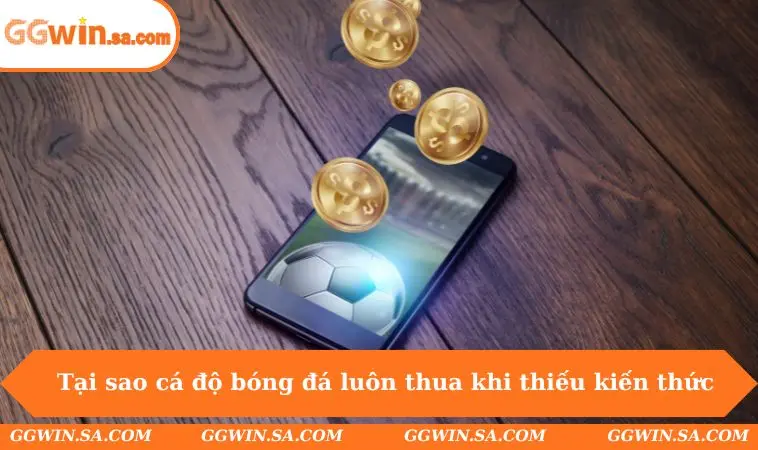 Tại sao cá độ bóng đá luôn thua khi thiếu kiến thức