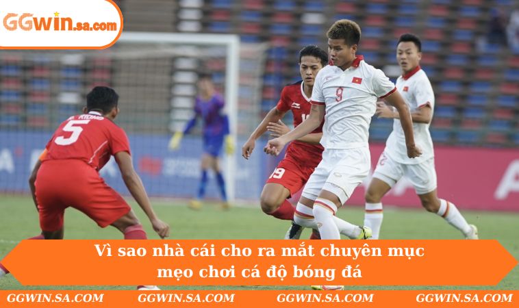 Vì sao nhà cái cho ra mắt chuyên mục mẹo chơi cá độ bóng đá